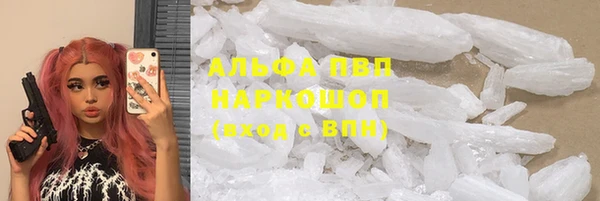крисы Алзамай